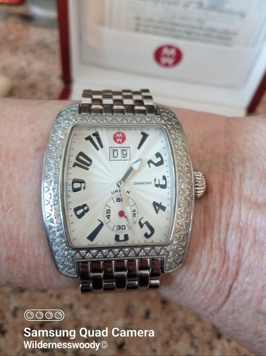 Michele Urban Diamond, Big Date Quartz Watch main image 11